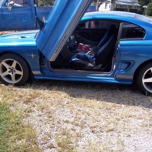 Meet your Posher, Henry